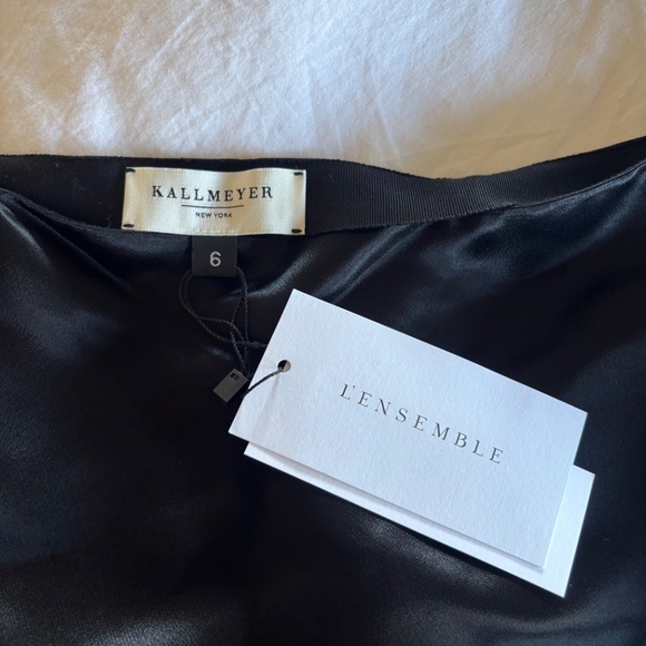 NWT KALLMEYER Shiloh Miniskirt in Liquid Twill (6) - Picture 2 of 3